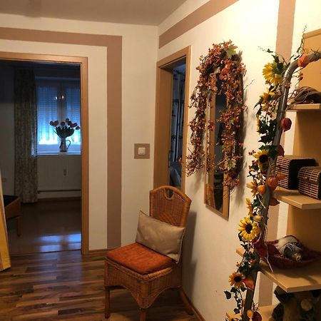 Schoene Ferienwohnung In Bahnhofsnaehe Fuer Urlaub, Studium Oder Arbeit Deggendorf Kültér fotó