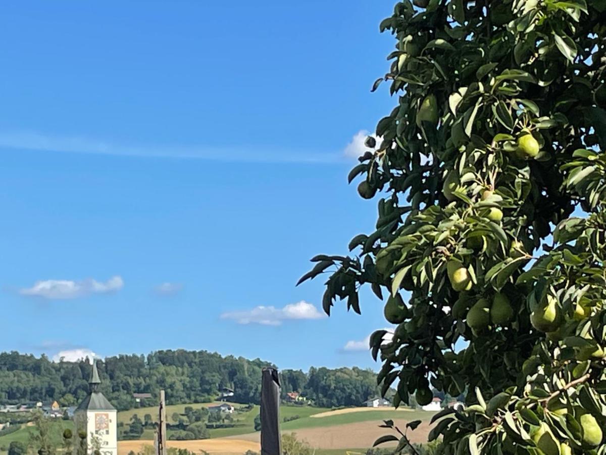 Schoene Ferienwohnung In Bahnhofsnaehe Fuer Urlaub, Studium Oder Arbeit Deggendorf Kültér fotó