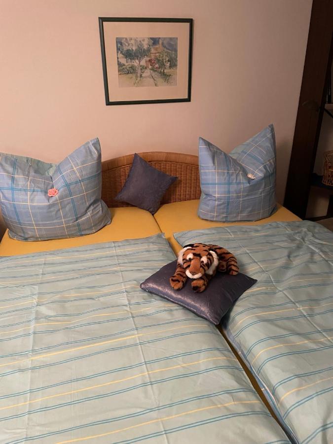 Schoene Ferienwohnung In Bahnhofsnaehe Fuer Urlaub, Studium Oder Arbeit Deggendorf Kültér fotó